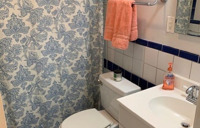 1 Bed 1 Bath condo in the Gaslight District. Roof Deck!!