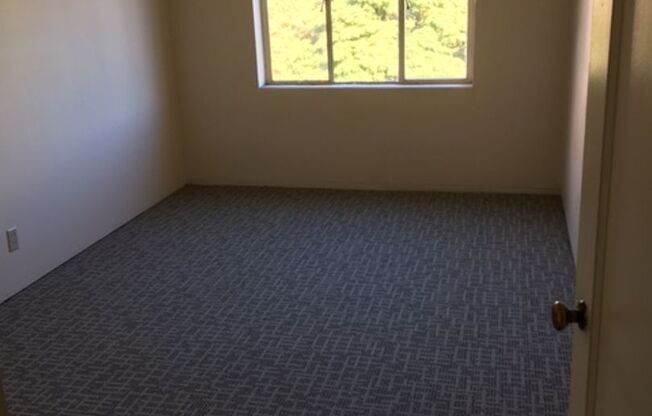 1 bed, 1 bath, 518 sqft, $1,249, Unit 503A