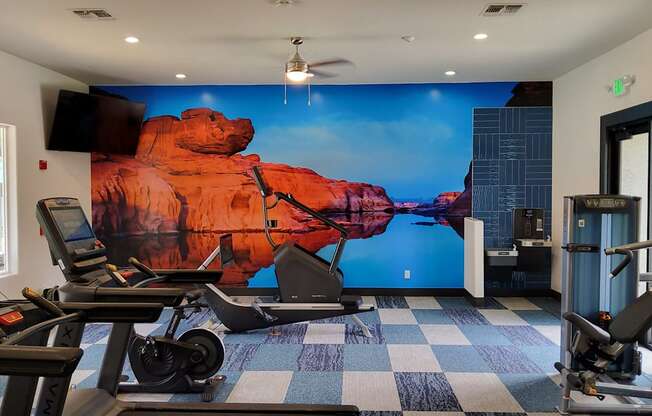 a gym with a wall mural of a lake and red rocks