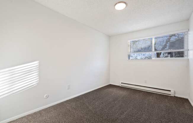 an empty living room with carpet and a window
