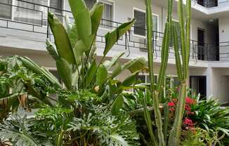 lush green foliage in the community courtyard