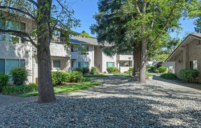 2 beds, 1 bath, 900 sqft, $1,450