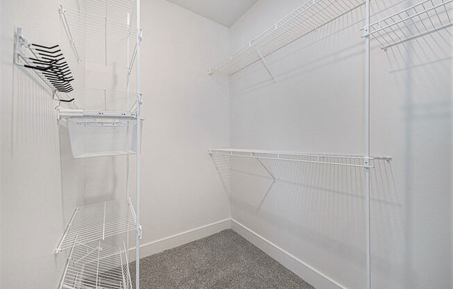 spacious closet in the bedroom at Trade Winds Apartment Homes, Elkhorn, NE