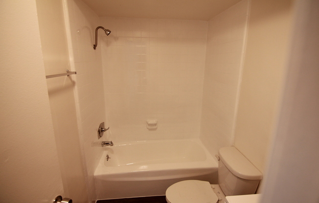 Studio, 1 bath, 495 sqft, $1,595