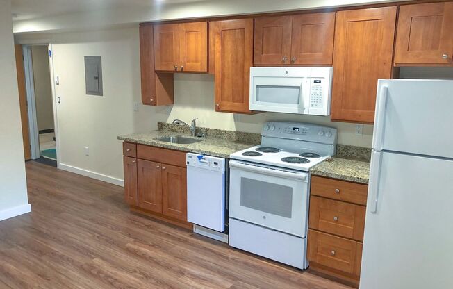 Studio, 1 bath, 294 sqft, $1,095, Unit 107