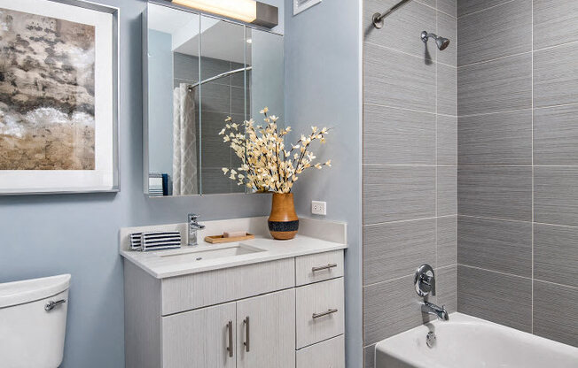 Luxurious Garden Tub at 1001 South State, Illinois