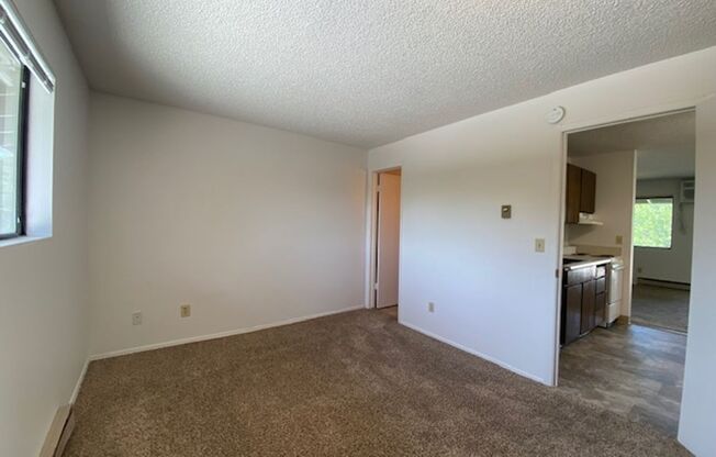 1 bed, 1 bath, 650 sqft, $995