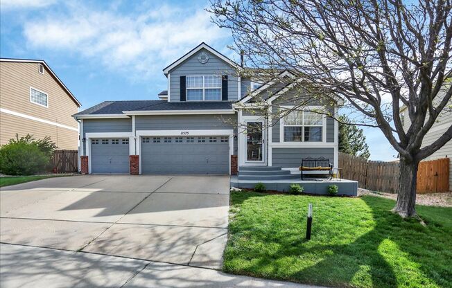 STUNNING 3 Bedroom House in Very Desirable Neighborhood.