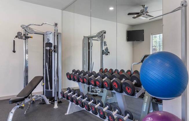 Free Weights in Canyon Ridge