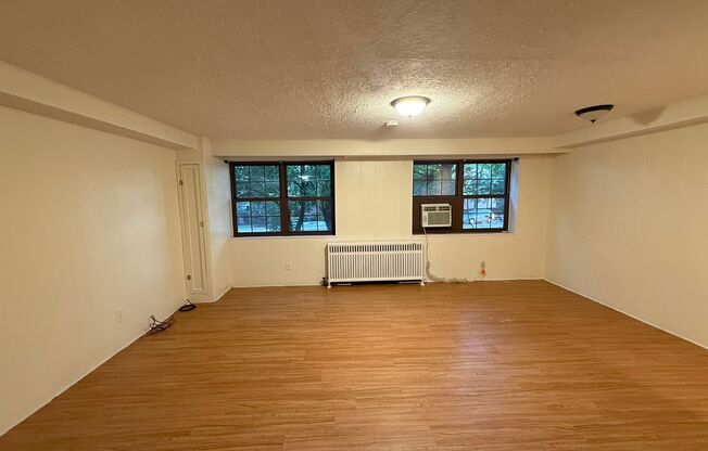 Studio, 1 bath, 487 sqft, $1,215, Unit Fifth L-C