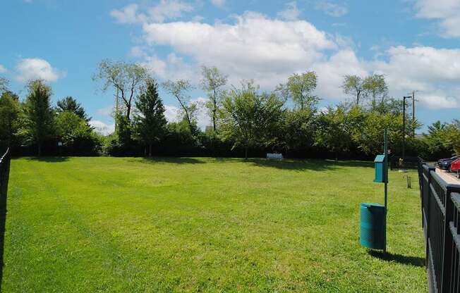 A green field with trees in the background and a fence on the right side.