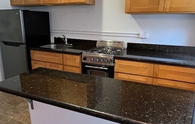 1 bed, 1 bath, 542 sqft, $1,550, Unit 407