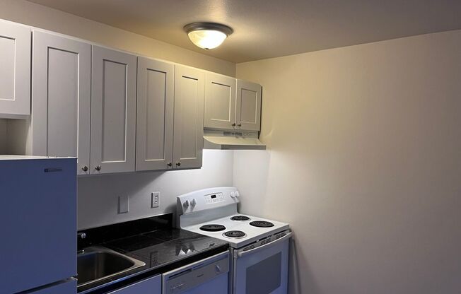 Studio, 1 bath, 350 sqft, $1,395