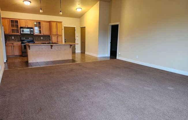 Great apartment in the center of Missoula!