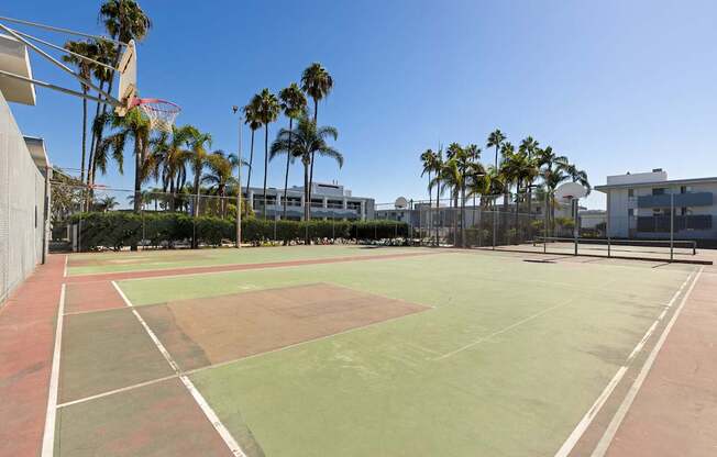 A tennis court with a net and palm trees in the background.