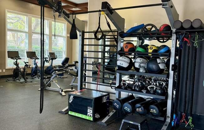 a home gym with weights and equipment and a large window