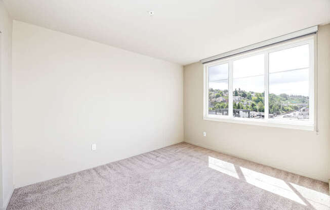 A room with a large window and carpeted floor.
