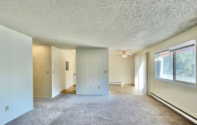 Timber Grove Apartments in Lynnwood, WA