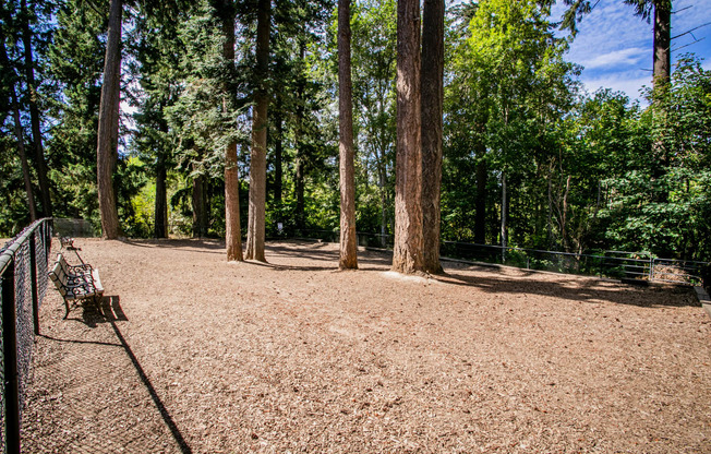 Spacious and Gated Dog Park at Pet Friendly Apartments Near Me