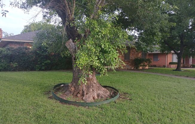 3 Bedrooms 2 Bathrooms 1 Car Garage Near 35 E & Loop 12