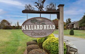 411 Mallard Head Place