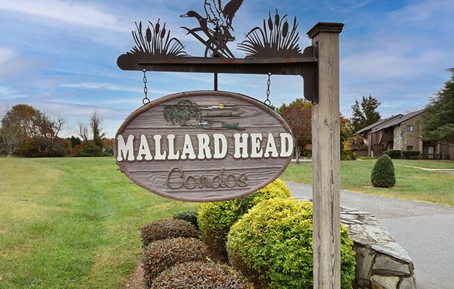 411 Mallard Head Place