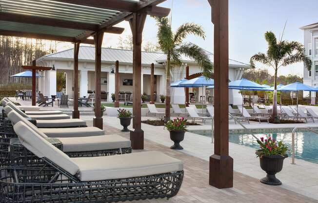 a row of chaise lounges next to a pool with palm trees in the background