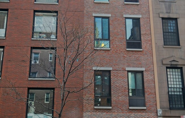 141 LEXINGTON AVE