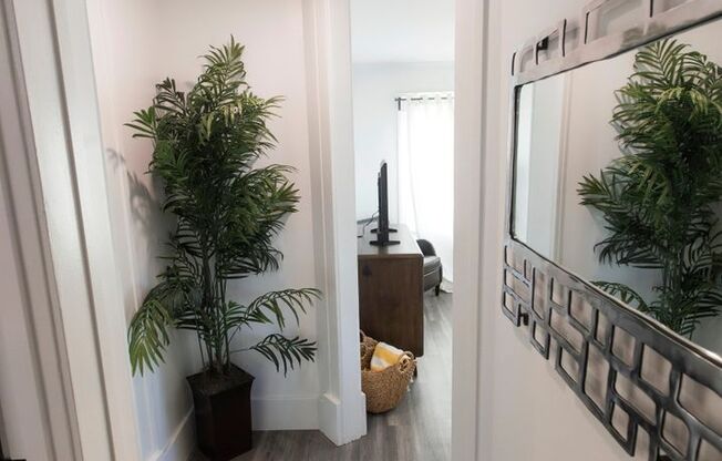 1 bed, 1 bath, $2,100, Unit 3