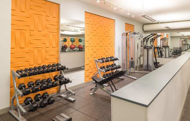 a gym with weights and dumbbells and a counter top