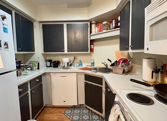 2 beds, 2 baths, 1,085 sqft, $4,100, Unit 308