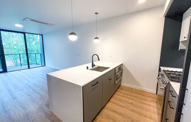 1 bed, 1 bath, 652 sqft, $3,395, Unit 303