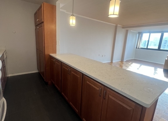 Studio, 1 bath, 636 sqft, $2,750, Unit 8P