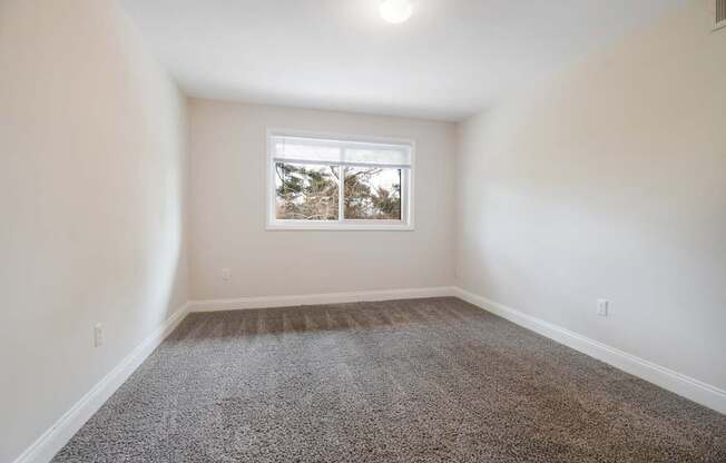 A room with a carpeted floor and a window showing trees outside.