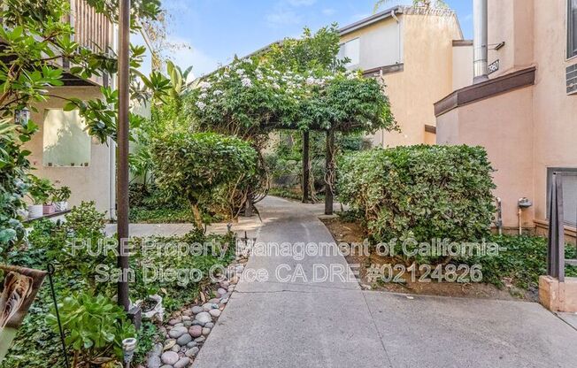 7960 MSN CTR CT