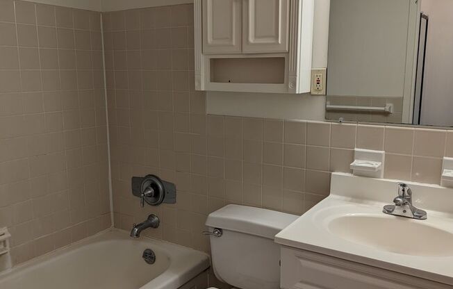 1 bed, 1 bath, 570 sqft, $2,950, Unit 1702