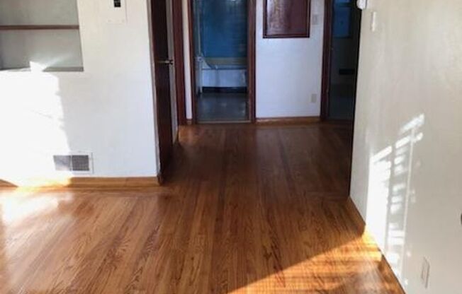 One-bedroom apartment in North Berkeley between Shattuck and Walnut.