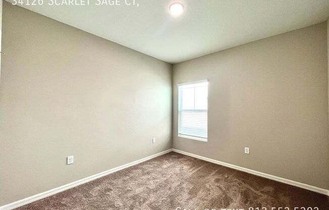 34126 SCARLET SAGE CT