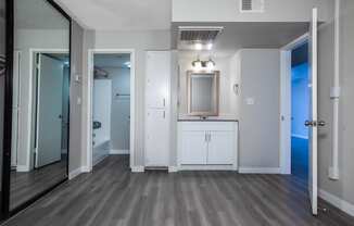 a bathroom with a sink and a mirror and a door to a closet