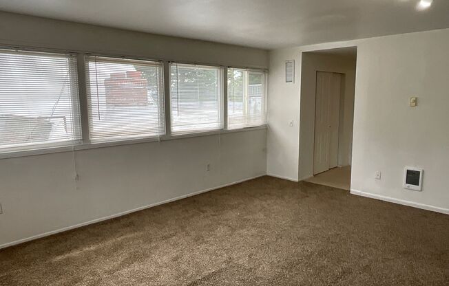 Studio, 1 bath, $1,250, Unit A