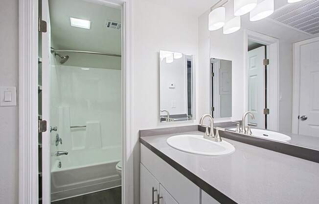 a bathroom with a sink and a shower and a mirror