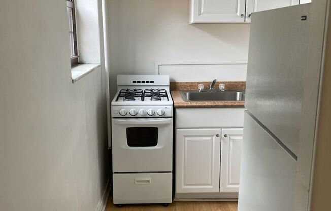 Studio, 1 bath, 487 sqft, $1,300, Unit Fifth 208