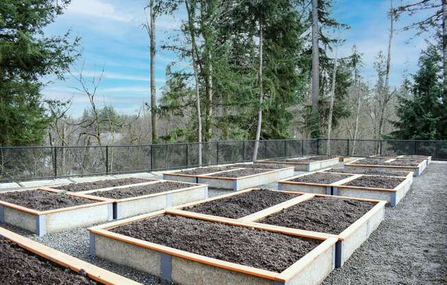 Garden Plots at Manor Way Apartments, WA 98204