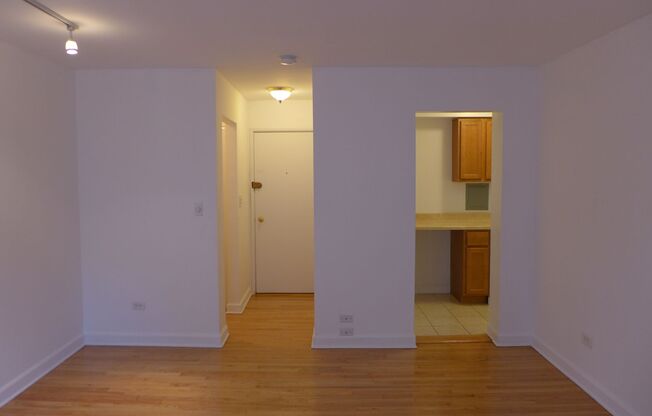 Studio, 1 bath, 450 sqft, $1,295, Unit 307