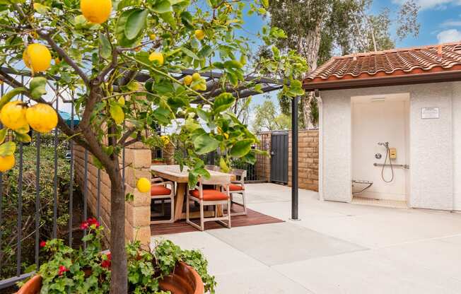 Outdoor dining area with outdoor shower