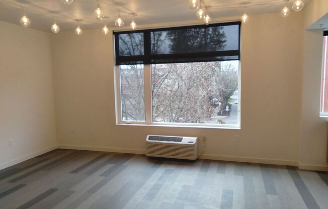 1 bed, 1 bath, 585 sqft, $1,449, Unit 301