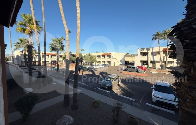 1 bed, 1 bath, 560 sqft, $849, Unit 232