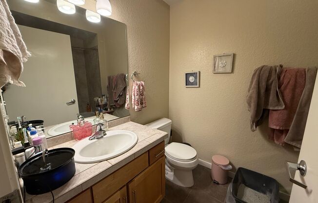 Luxury 1-Bedroom Apartment Minutes from Campus