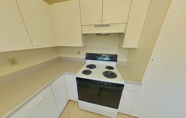 1 Bedroom Apartment ~ Close to Campus ~ Cat Friendly