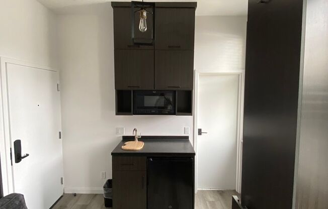 Studio, 1 bath, 87 sqft, $1,700, Unit #307